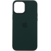 Чехол Silicone Case для Apple iPhone 12 Pro Max (Cyprus Green)
