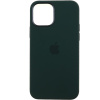 Чохол Silicone Case для Apple iPhone 12, iPhone 12 Pro (Cyprus Green)