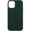 Чохол Silicone Case для Apple iPhone 12 mini (Cyprus Green)